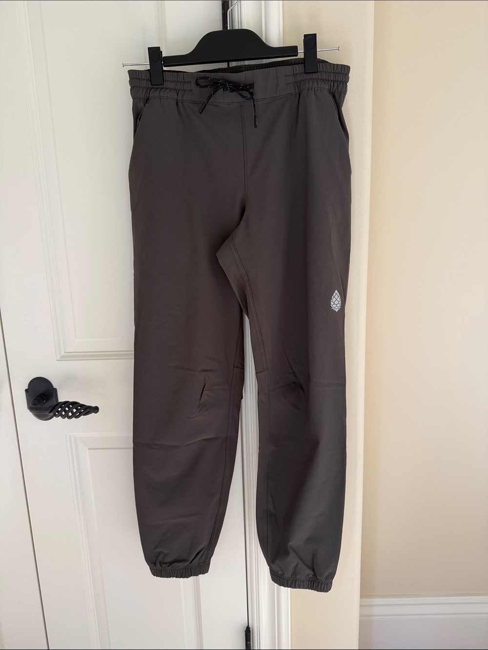 Stio Womens Pinedale Jogger